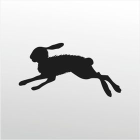 20 cm Çöl Tavşanı Folyo Sticker
