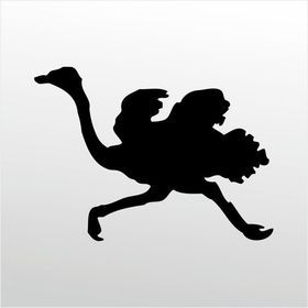 20 cm Deve Kuşu Folyo Sticker