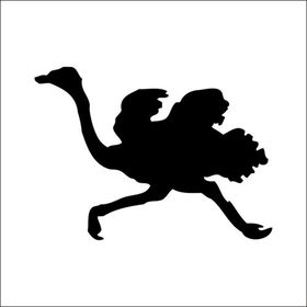 20 cm Deve Kuşu Folyo Sticker