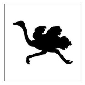 20 cm Deve Kuşu Folyo Sticker