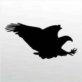 20 cm Kartal Folyo Sticker