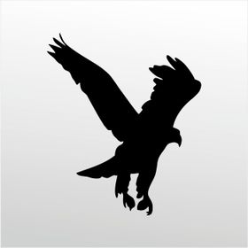 20 cm Kartal Folyo Sticker
