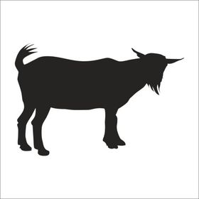 20 cm Keçi Folyo Sticker