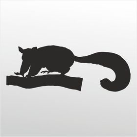 20 cm Kokarca Folyo Sticker