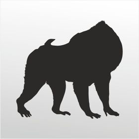 20 cm Orangutan Folyo Sticker