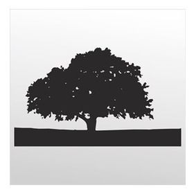 200 cm Ağaç Folyo Sticker