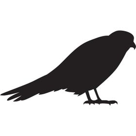 200 cm Arı Kuşu Folyo Sticker