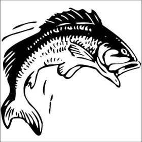 200 cm Balık Folyo Sticker