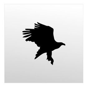 200 cm Kartal Folyo Sticker