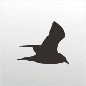 200 cm Martı Folyo Sticker