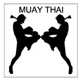 200 cm Muay Thai Folyo Sticker