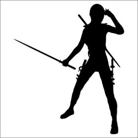 200 cm Ninja Folyo Sticker