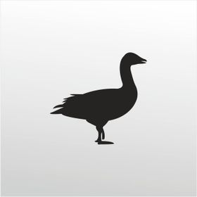200 cm Ördek Folyo Sticker