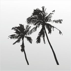 200 cm Palmiyeler Folyo Sticker