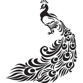 200 cm Tavus Kuşu Folyo Sticker