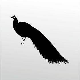 200 cm Tavuz Kuşu Folyo Sticker