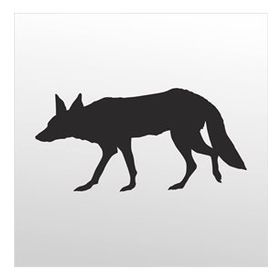 200 cm Tilki Folyo Sticker