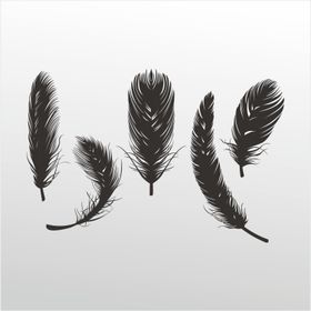 200 cm Tüy Folyo Sticker