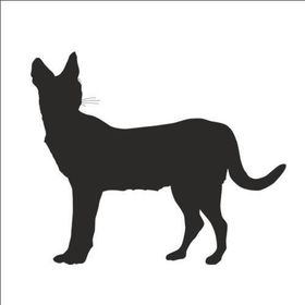 200 cm Vaşak Folyo Sticker