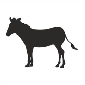 200 cm Zebra Folyo Sticker