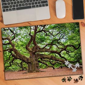 2018822 Yıllanmış Koca Ağaç 240 Parça Puzzle Yapboz