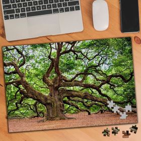 2018822 Yıllanmış Koca Ağaç 240 Parça Puzzle Yapboz