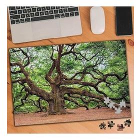 2018822 Yıllanmış Koca Ağaç 240 Parça Puzzle Yapboz
