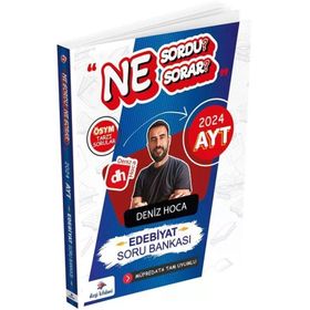 2024 Deniz Hoca Ayt Edebiyat Ne Sordu Ne Sorar Soru Bankasi - Dizgi Kitap