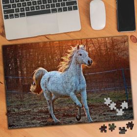 2063672 Beyaz Görkem At 240 Parça Puzzle Yapboz