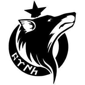20x24 cm Bozkurt Ay Göktürkçe Araba Laptop Duvar Folyo Sticker