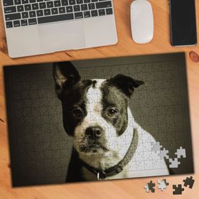 2178696 Sese Odaklanmış Sevimli Köpek 240 Parça Puzzle Yapboz