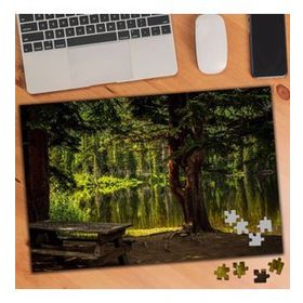 2178847 Göl Kenarında Piknik Alanı 240 Parça Puzzle Yapboz