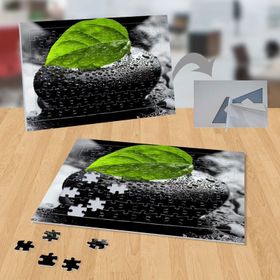 21926770 Islak Taş Bitki Doğa 99 Parça Puzzle Yapboz Tablo