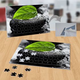 21926770 Islak Taş Bitki Doğa 99 Parça Puzzle Yapboz Tablo