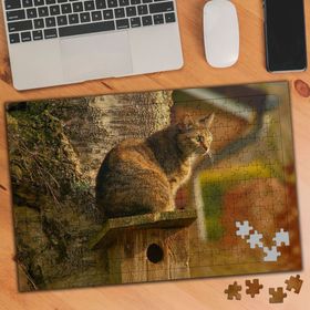 2195538 Avını Bekleyen Kedi 240 Parça Puzzle Yapboz