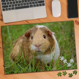 242520 Şaşkın Hamster 240 Parça Puzzle Yapboz