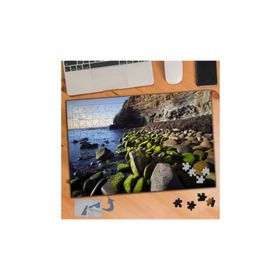 254 Gölde Yosun Tutmuş Taşlar 240 Parça Puzzle Yapboz Tablo