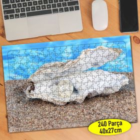 25955 Sahilde Kum Üstünde Deniz Kabuğu 240 Parça Puzzle Yapboz