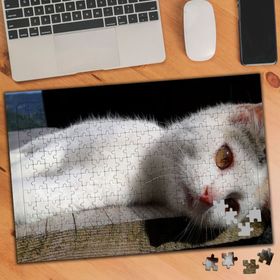 2640444 Yorgun Beyaz Kedi 240 Parça Puzzle Yapboz