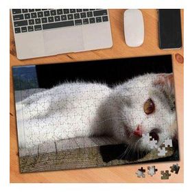 2640444 Yorgun Beyaz Kedi 240 Parça Puzzle Yapboz