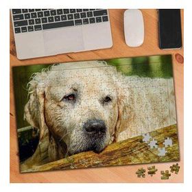 2705639 Yorgun Yaşlı Köpek 240 Parça Puzzle Yapboz