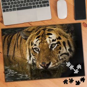 2791980 Avlanacak Kaplan 240 Parça Puzzle Yapboz