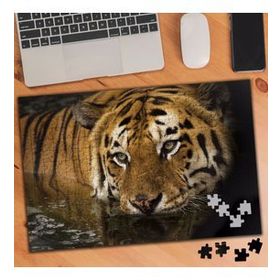 2791980 Avlanacak Kaplan 240 Parça Puzzle Yapboz