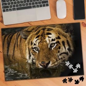2791980 Avlanacak Kaplan 240 Parça Puzzle Yapboz