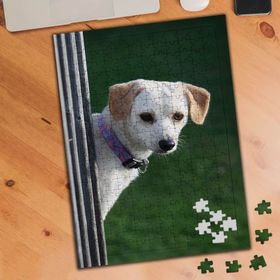 2860988 Sevimli Beyaz Tüylü Köpek 240 Parça Puzzle Yapboz