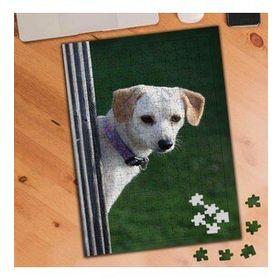 2860988 Sevimli Beyaz Tüylü Köpek 240 Parça Puzzle Yapboz