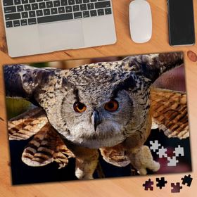 2903707 Keskin Bakışlı Baykuş 240 Parça Puzzle Yapboz