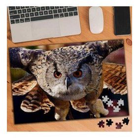 2903707 Keskin Bakışlı Baykuş 240 Parça Puzzle Yapboz