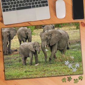 2923917 Fil Sürüsü 240 Parça Puzzle Yapboz