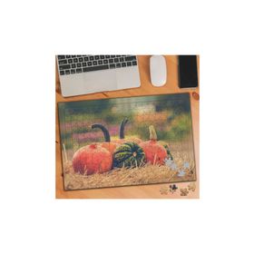 2989569 Renkli Kabaklar 240 Parça Puzzle Yapboz